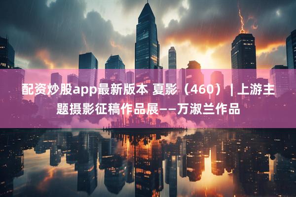 配资炒股app最新版本 夏影（460） | 上游主题摄影征稿作品展——万淑兰作品