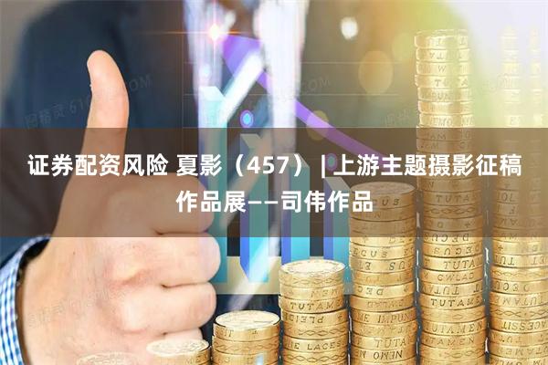 证券配资风险 夏影（457） | 上游主题摄影征稿作品展——司伟作品
