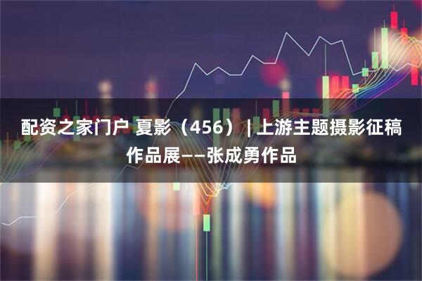 配资之家门户 夏影（456） | 上游主题摄影征稿作品展——张成勇作品