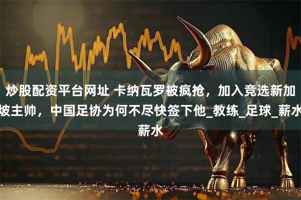 炒股配资平台网址 卡纳瓦罗被疯抢，加入竞选新加坡主帅，中国足协为何不尽快签下他_教练_足球_薪水