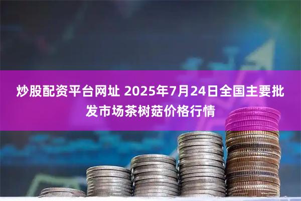 炒股配资平台网址 2025年7月24日全国主要批发市场茶树菇价格行情